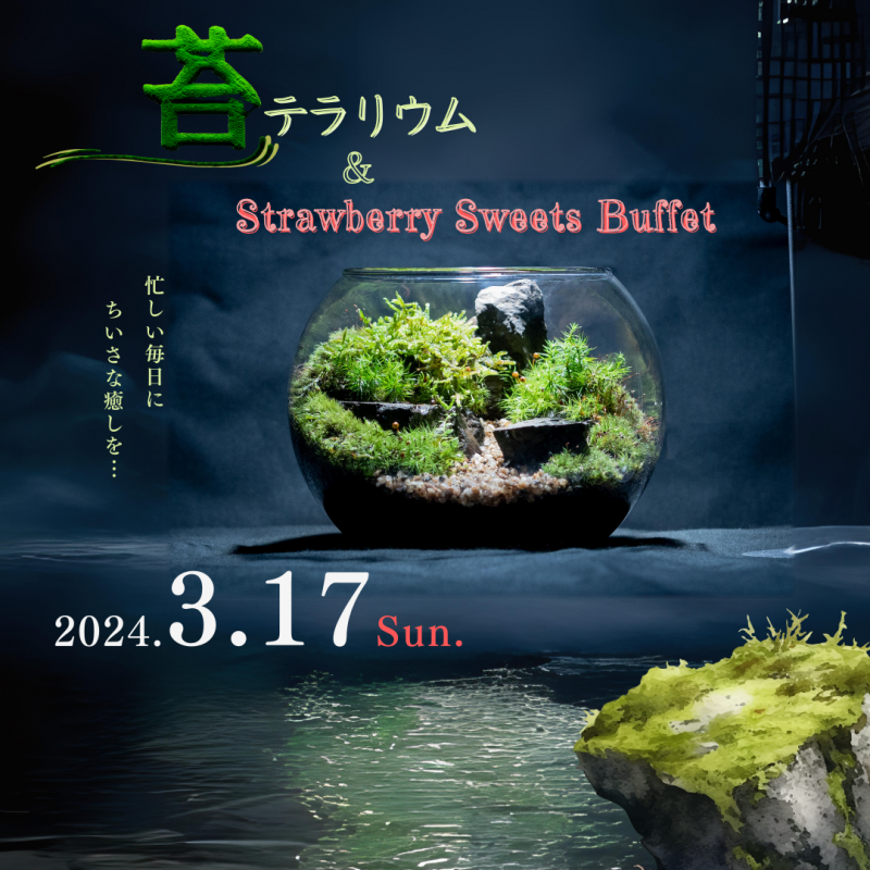 苔テラリウム＆Strawberry Sweets Buffet