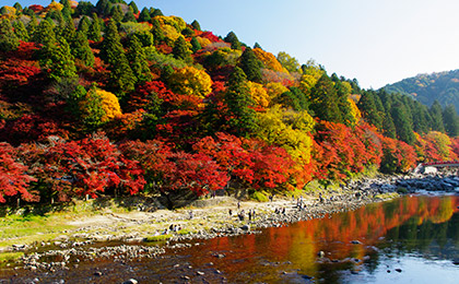 香岚溪